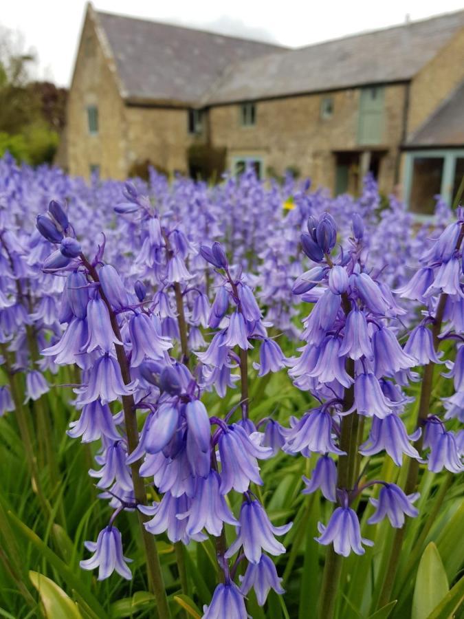 Апартаменты Woodcock Farm Бристоль Экстерьер фото
